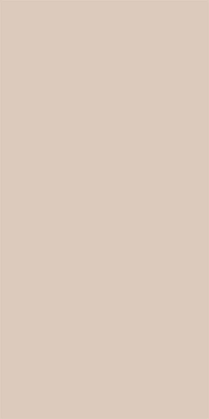 Silky Matte Apricot Cream